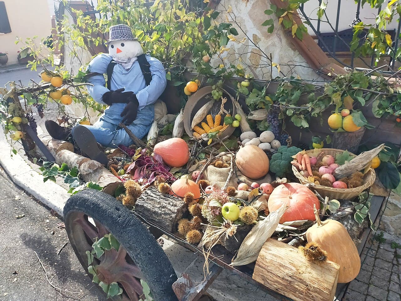 Festa: Colori e Sapori d'Autunno a Monselice, Monselice