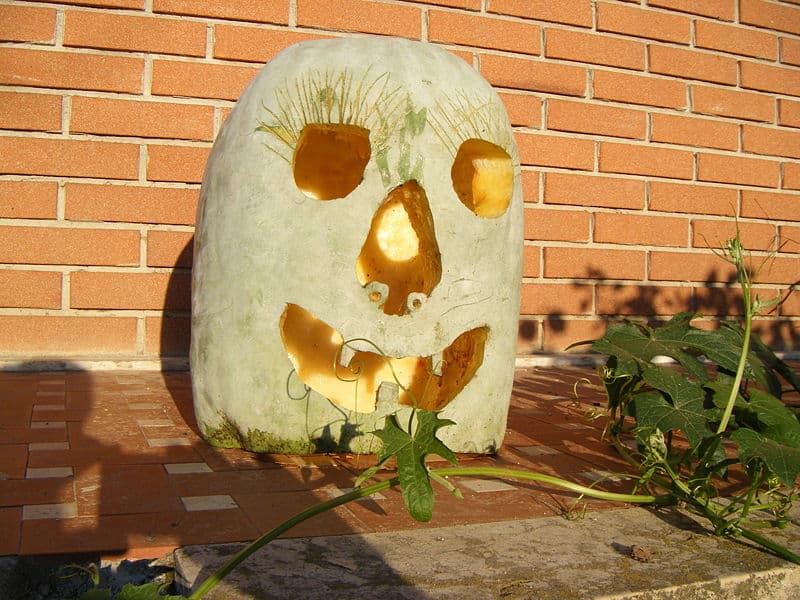 Festa: Festa della Zucca di Salzano, Salzano
