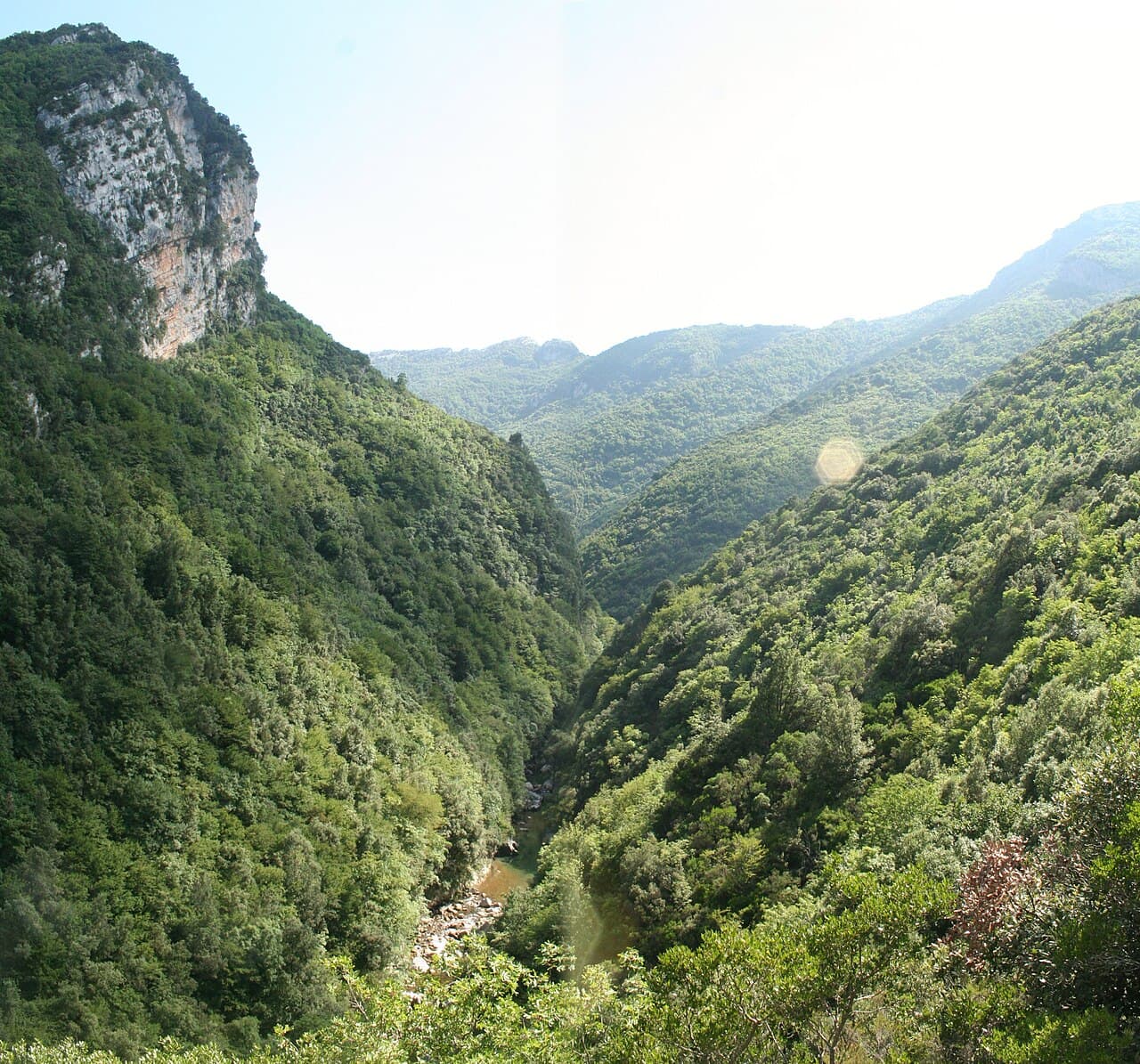 Sagra: Sagra del Fusillo Felittese, Felitto