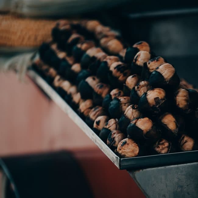 Sagra: Festa della Castagna di Careggine, Careggine