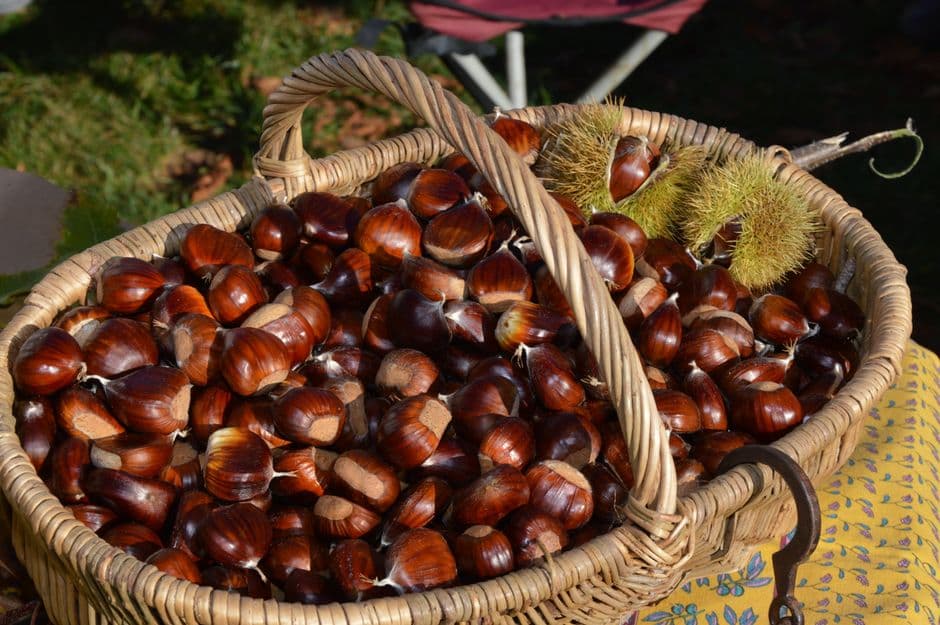 Mostra-mercato dei Marroni del Monfenera, Pederobba