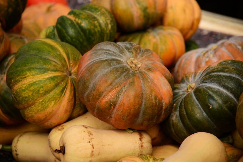 Sere d'Autunno - La Festa della Zucca, Ferrara